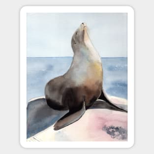 Sealion Watercolor Sticker